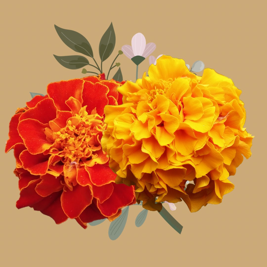 Flower office
